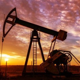 Fuel (Diesel, Petrol, Gas)